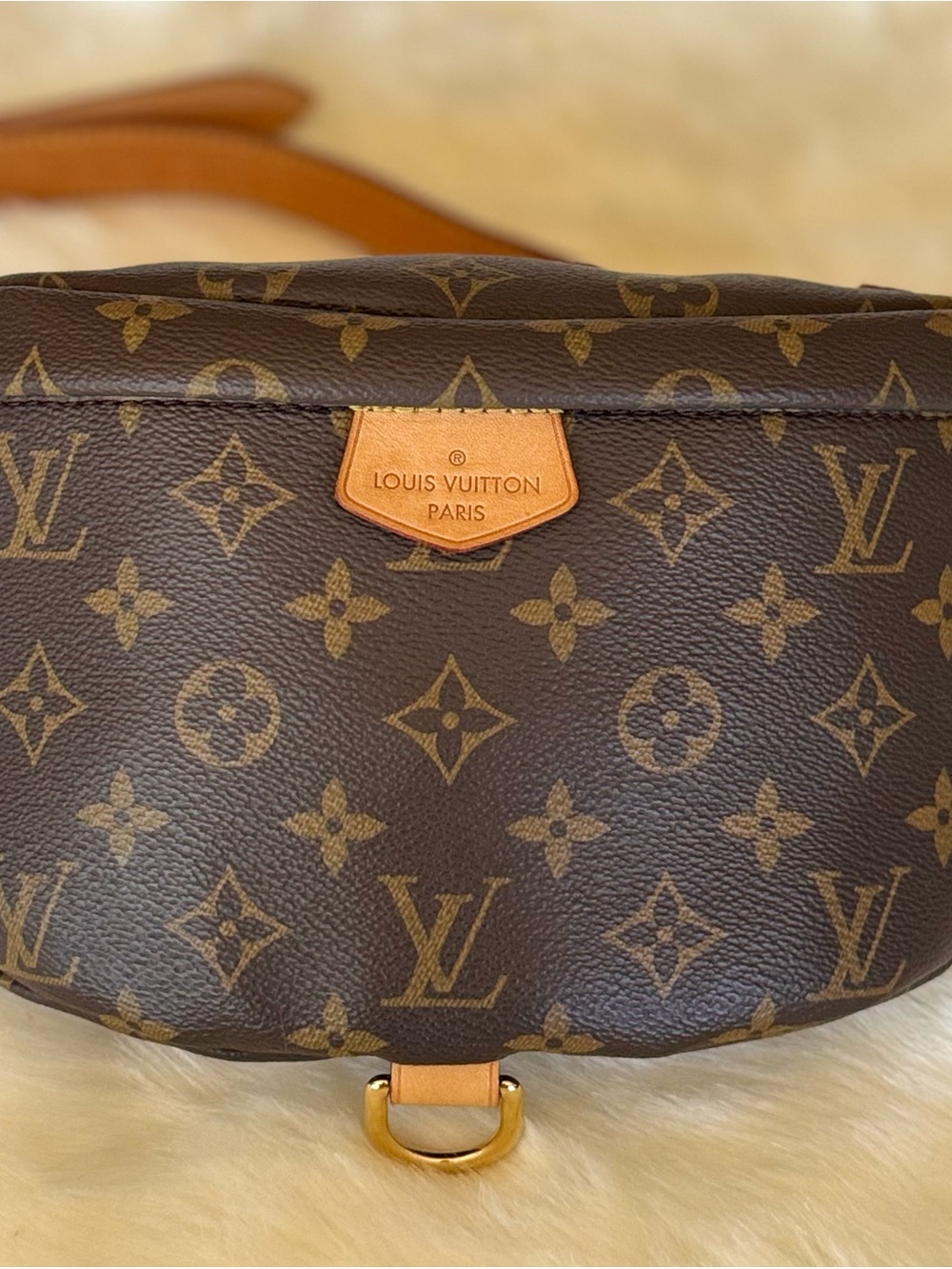 Louis Vuitton Bumbag Monogram